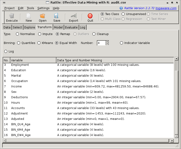 Image rattle-audit-transform-binning-age